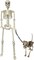 Halloween 36 Inches High Full Body Posable Standing Skeleton Decorations Outdoor with 18.8 Inches Long Skeleton Dog for Party Haunted House Supplies